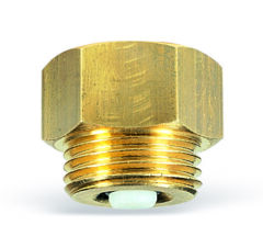 check valve for pressure gauges rem