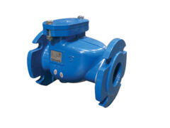 check valve 405l