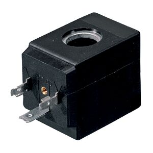coil benelux
