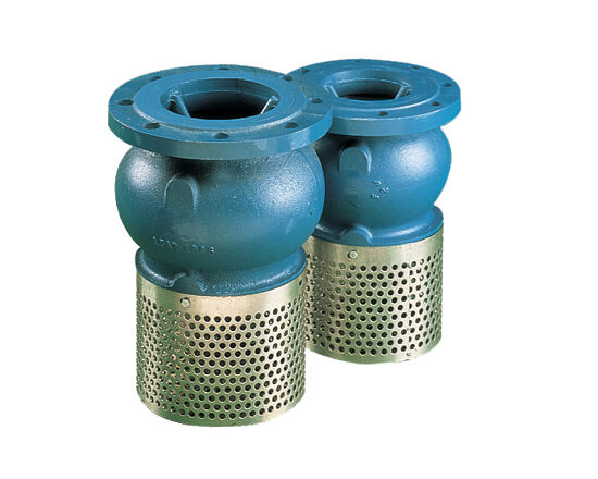 check valve 302