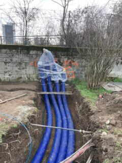 Microflex 1